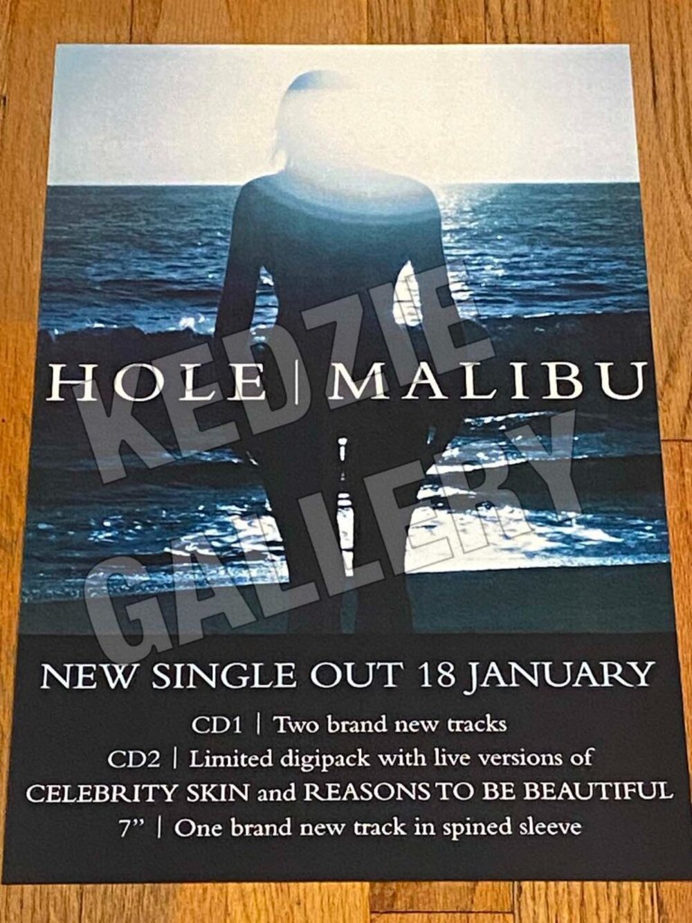 Hole 1998 Courtney Love Malibu CD & 7" Single Celebrity Skin Record Promo Poster